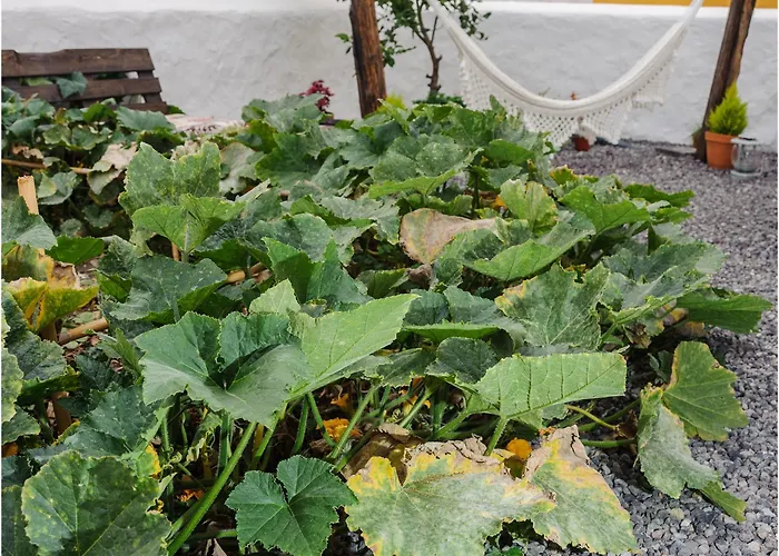 ベッド・アンド・ブレックファスト Casa Emblematica 2*