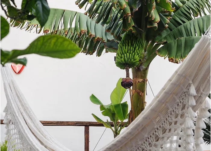 ベッド・アンド・ブレックファスト Casa Emblematica ブエナビスタ・デル・ノルテ