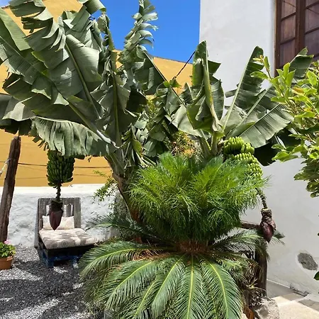 Casa Emblematica فندق مبيت وإفطار
